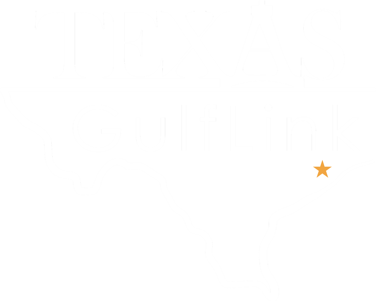 Texas GulfLink logo